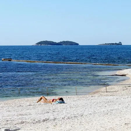 With Parking Space - 20781 Apartman Rovinj